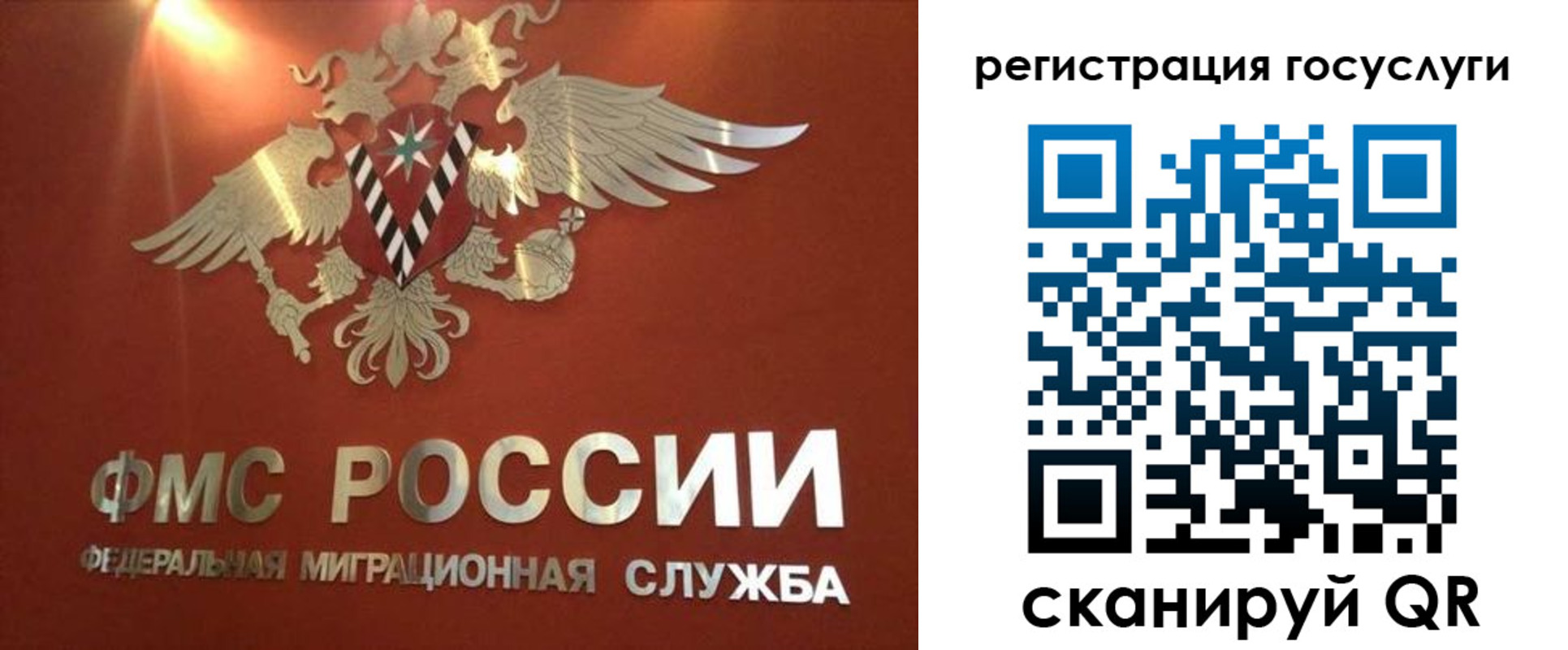 прописка ребенка в Благодарном